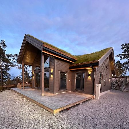 Modern Northern Lights Cabin Drangedal Extérieur photo
