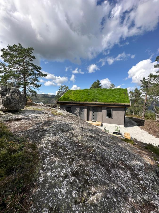 Modern Northern Lights Cabin Drangedal Extérieur photo