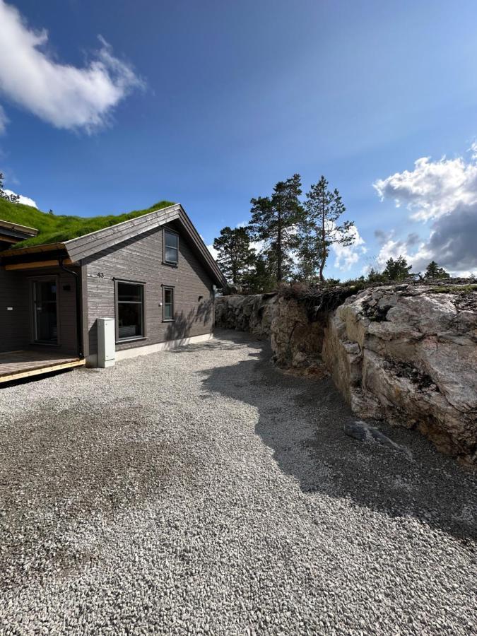 Modern Northern Lights Cabin Drangedal Extérieur photo