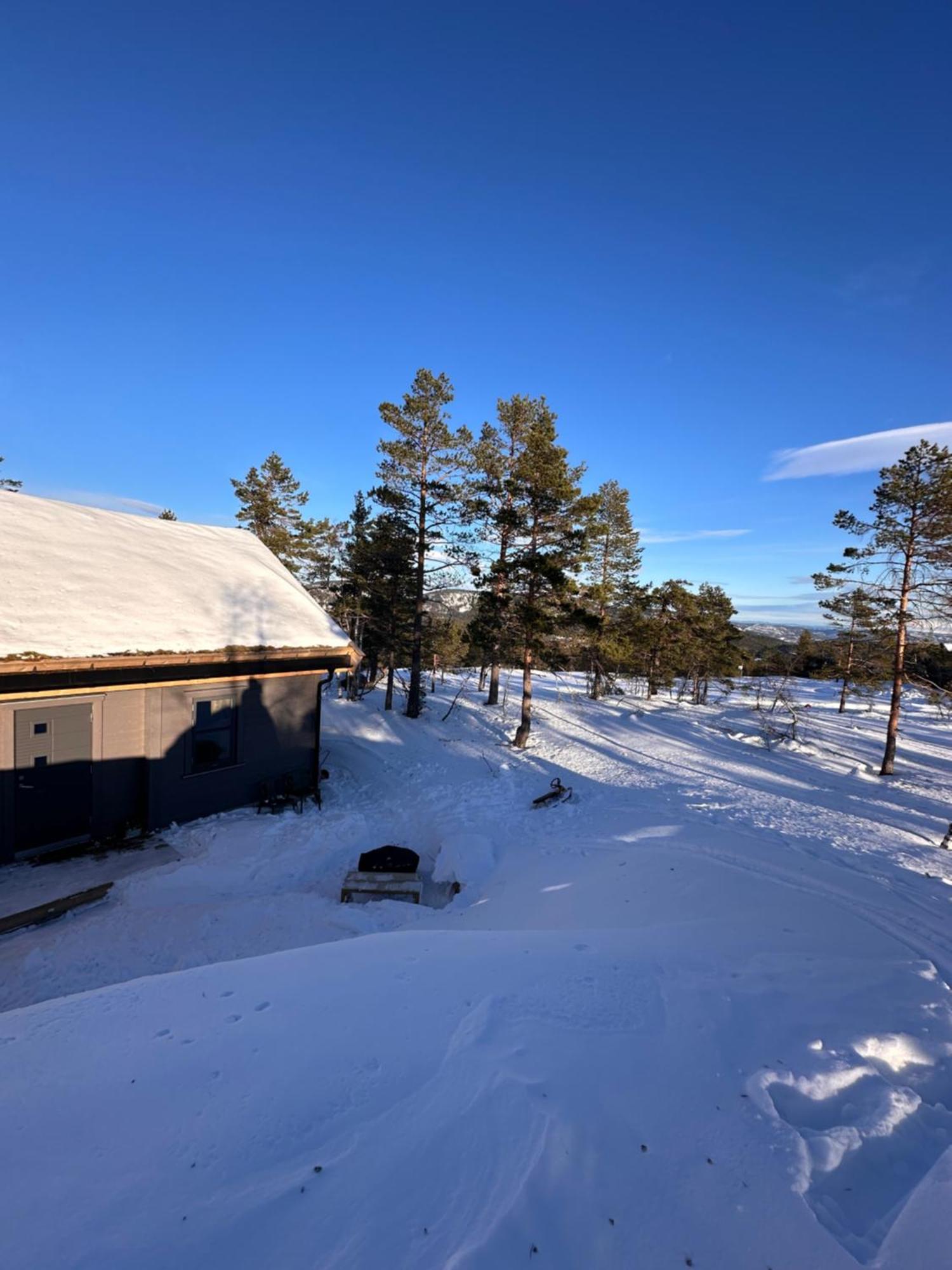 Modern Northern Lights Cabin Drangedal Extérieur photo