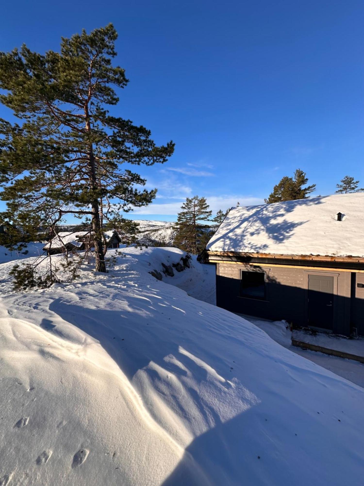 Modern Northern Lights Cabin Drangedal Extérieur photo