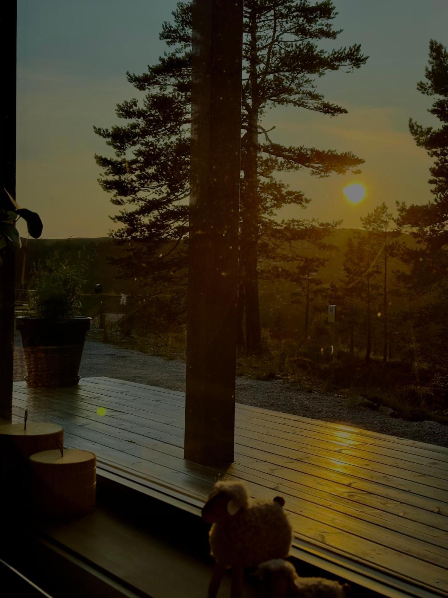 Modern Northern Lights Cabin Drangedal Extérieur photo
