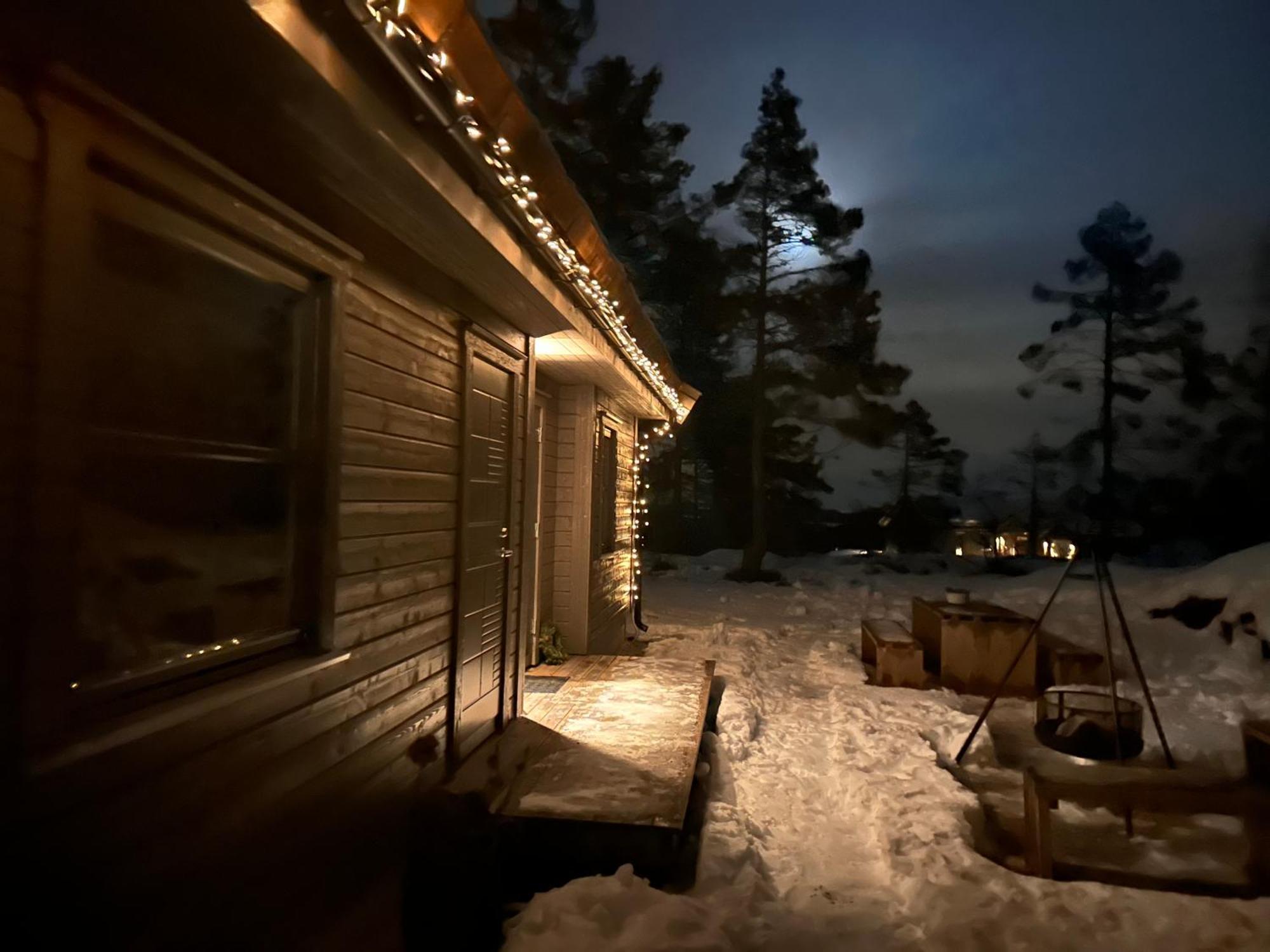 Modern Northern Lights Cabin Drangedal Extérieur photo