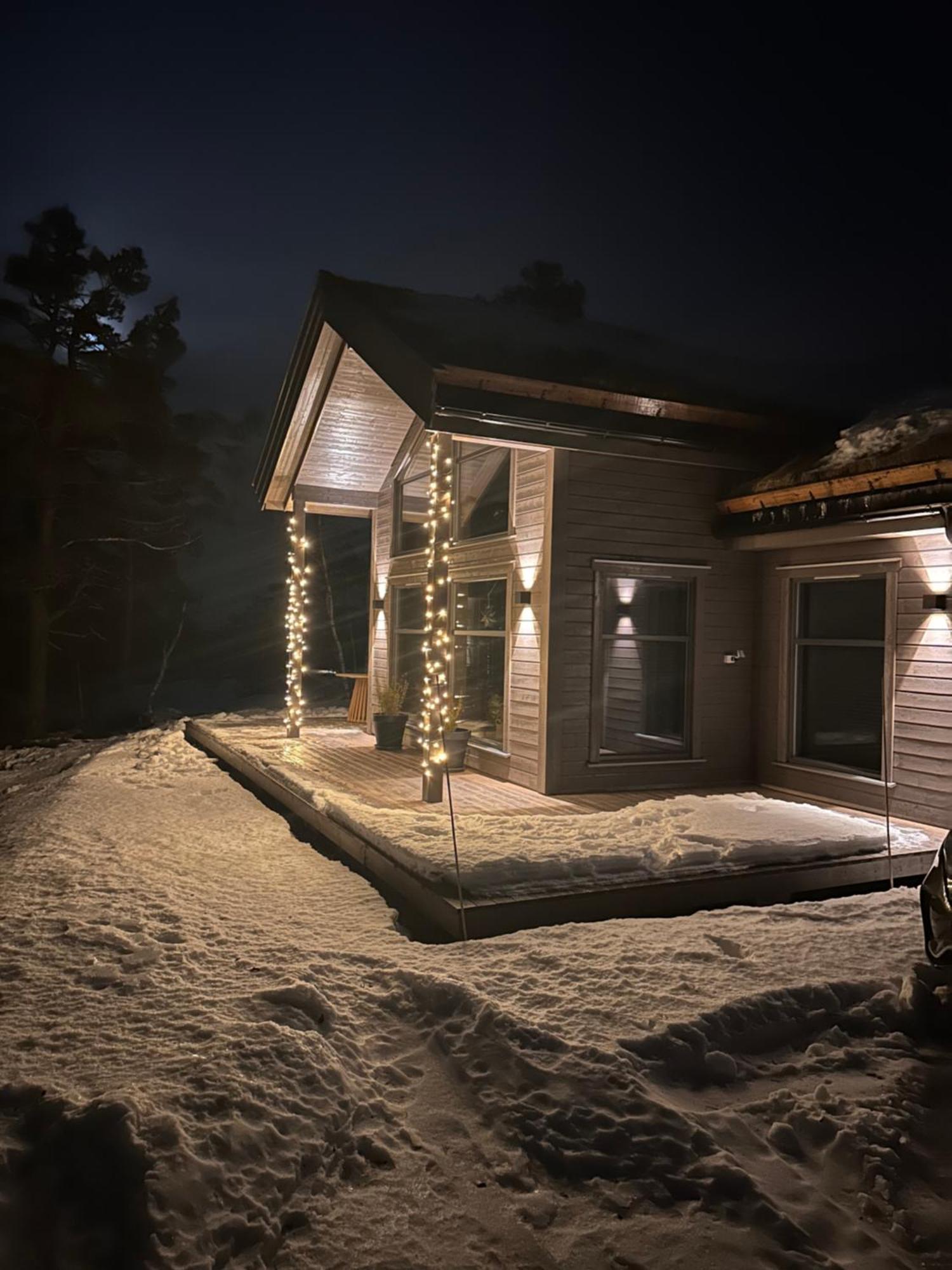 Modern Northern Lights Cabin Drangedal Extérieur photo
