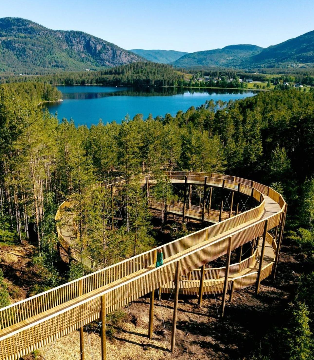 Modern Northern Lights Cabin Drangedal Extérieur photo